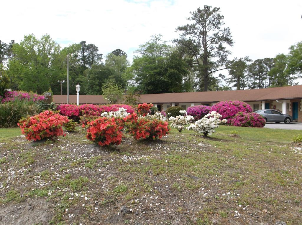 Azalea Inn&Suites Wilmington  Kültér fotó